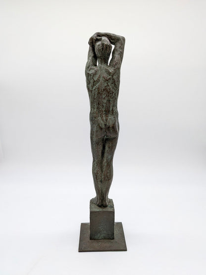 Adri van Rooijen - Dagdromer 5/6