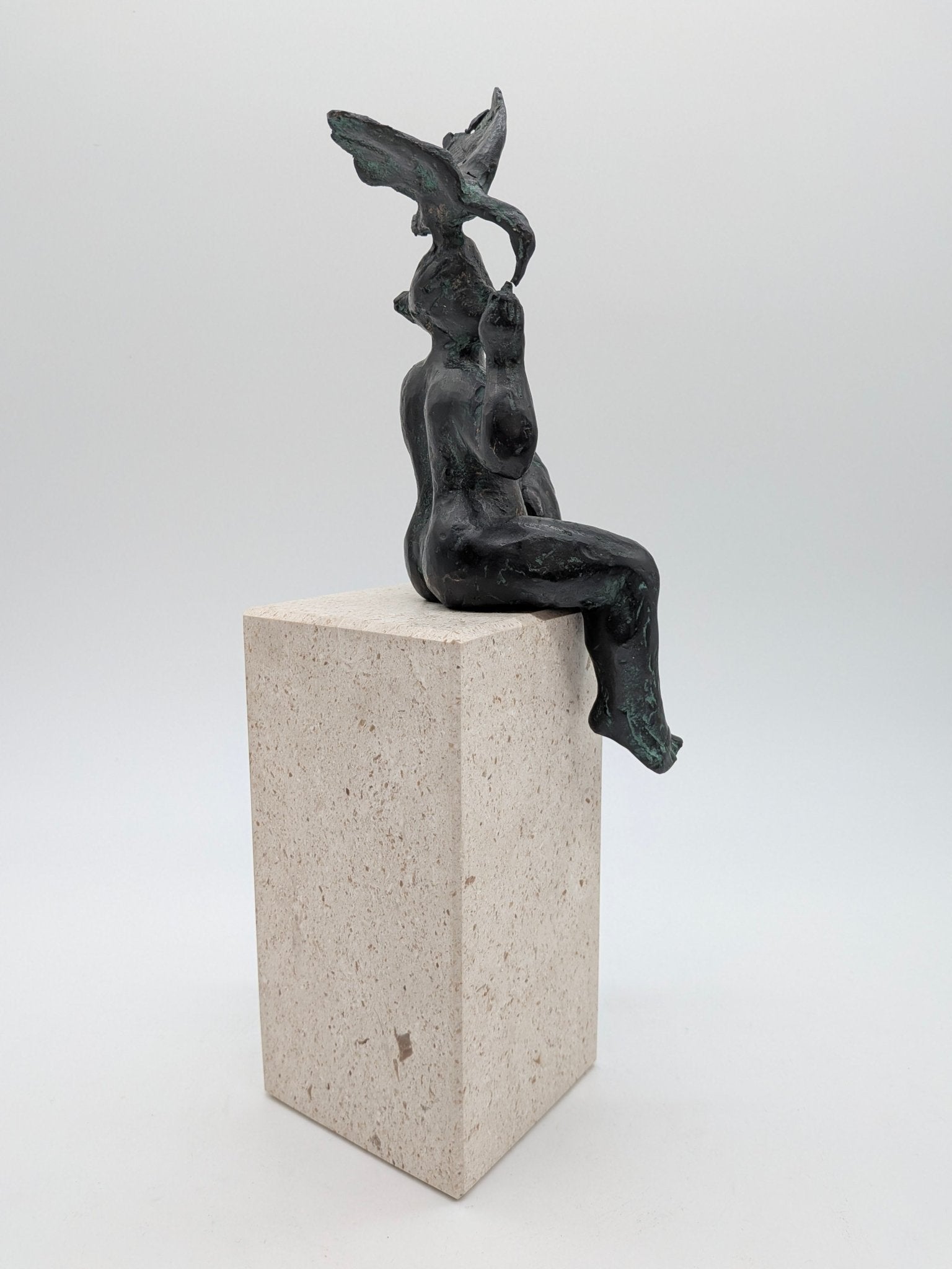 Anja Vosdingh Bessem - Twitteraars 3/20 (excl. sokkel)