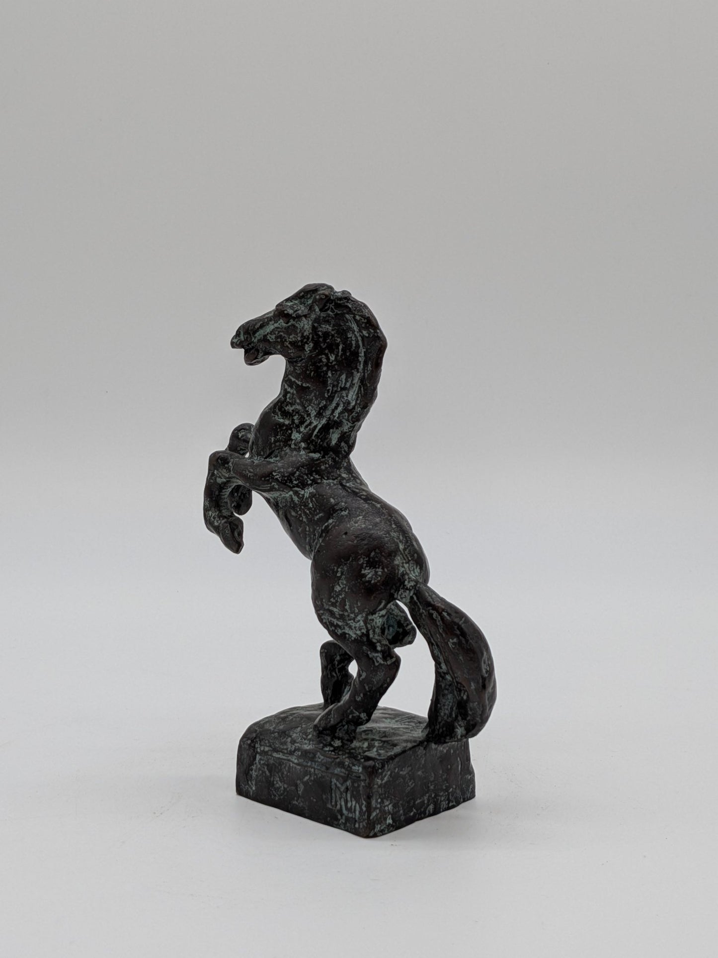 Margot Hudig - Heldring - Steigerend paard