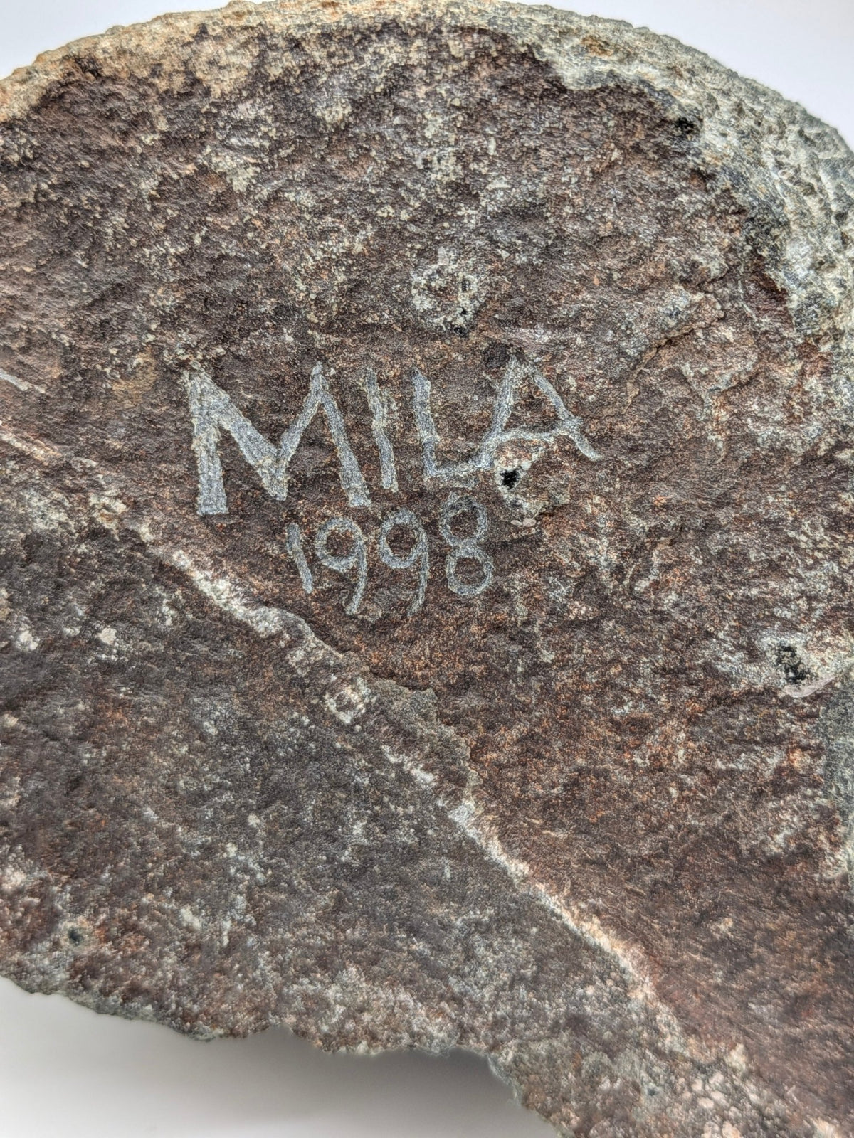 Mila van Beek - Poesje (1998) - Holland Heritage Gallery