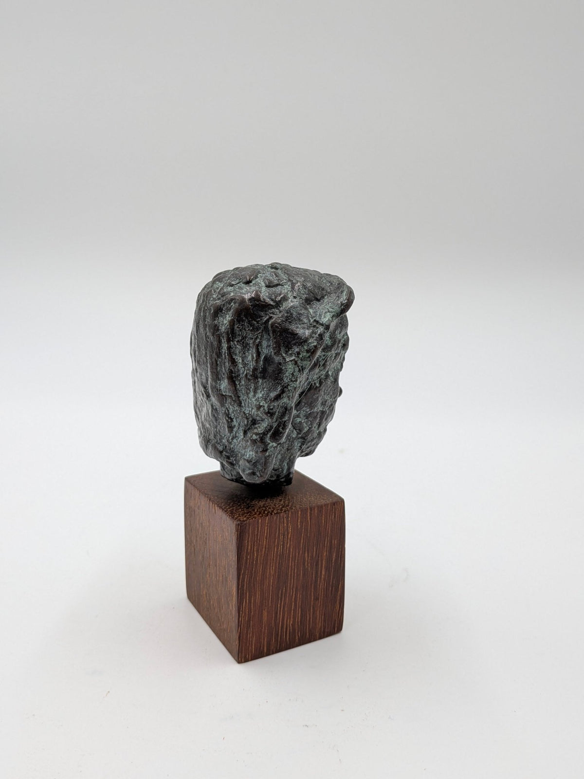 Nynke Schepers - "Wenja" klein portret vrouw (1990) - Brons