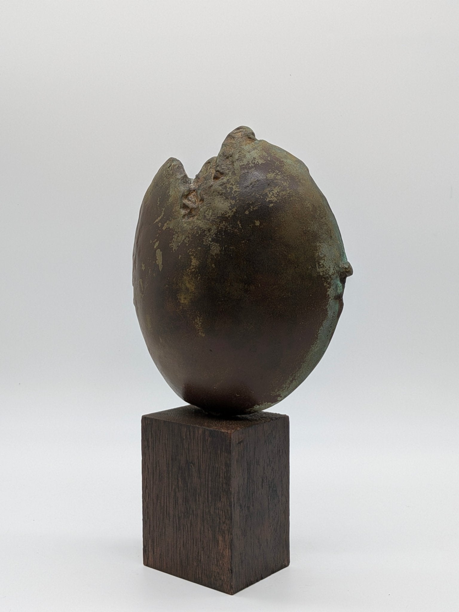 Theresia van der Pant - Groei Editie 8/8 - Holland Heritage Gallery